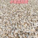 驻马店黄金麻中黄荔枝面