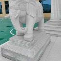 驻马店 白麻花岗岩动物异形石雕-大象