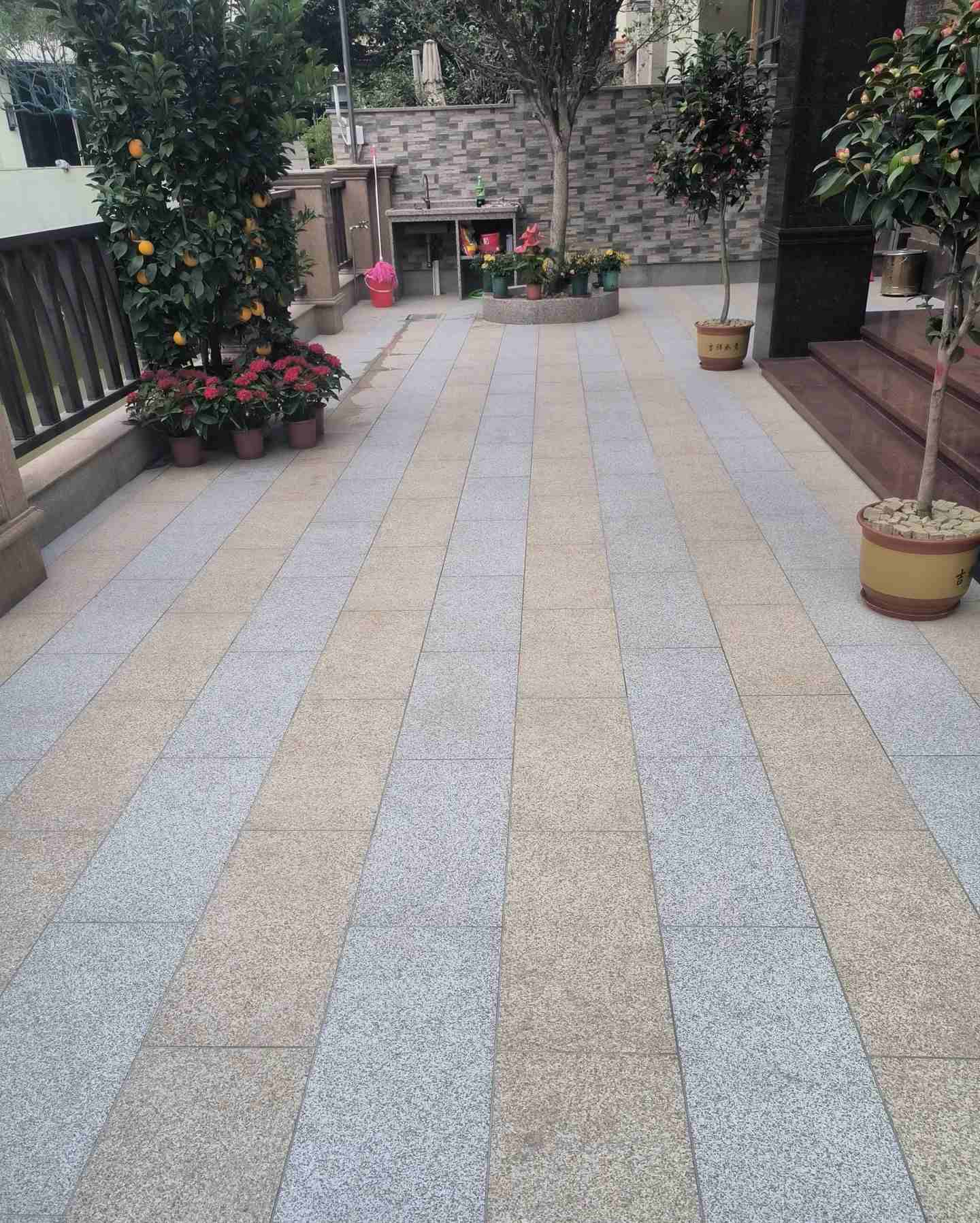 驻马店 黄金麻白麻荔枝面庭院铺装展示