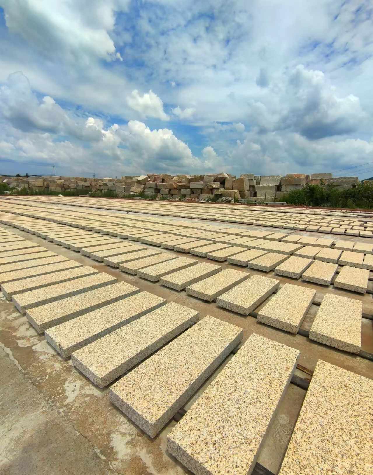 驻马店 黄金麻荔枝面花岗岩石材地铺石防护中